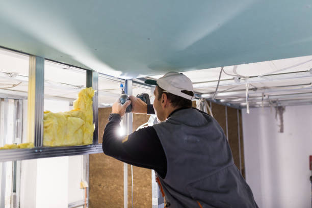Best Geographic-Specific Insulation Services in Saugerties South, NY