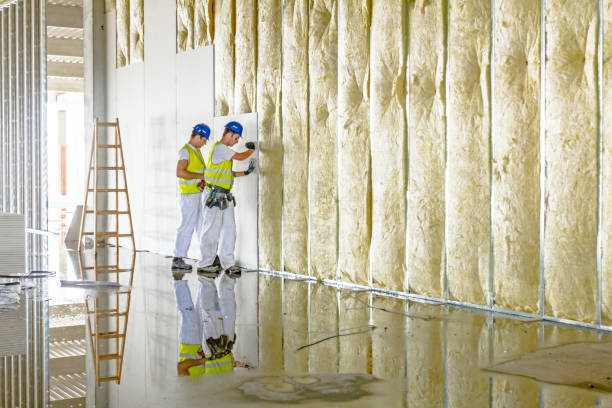 Professional Insulation Contractor in Saugerties South, NY